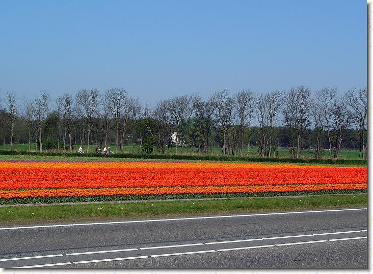 Næste billede